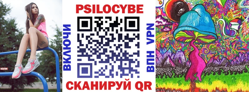 магазин    Энем  Галлюциногенные грибы Psilocybe 